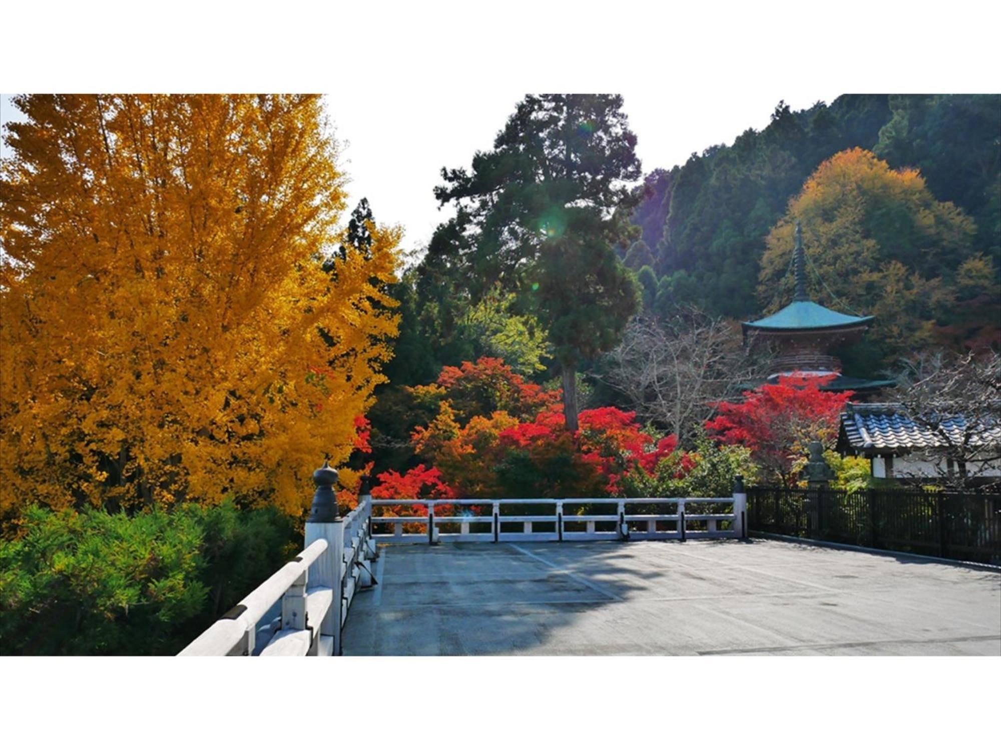 River Side Arashiyama - Vacation 86031v * Kyoto