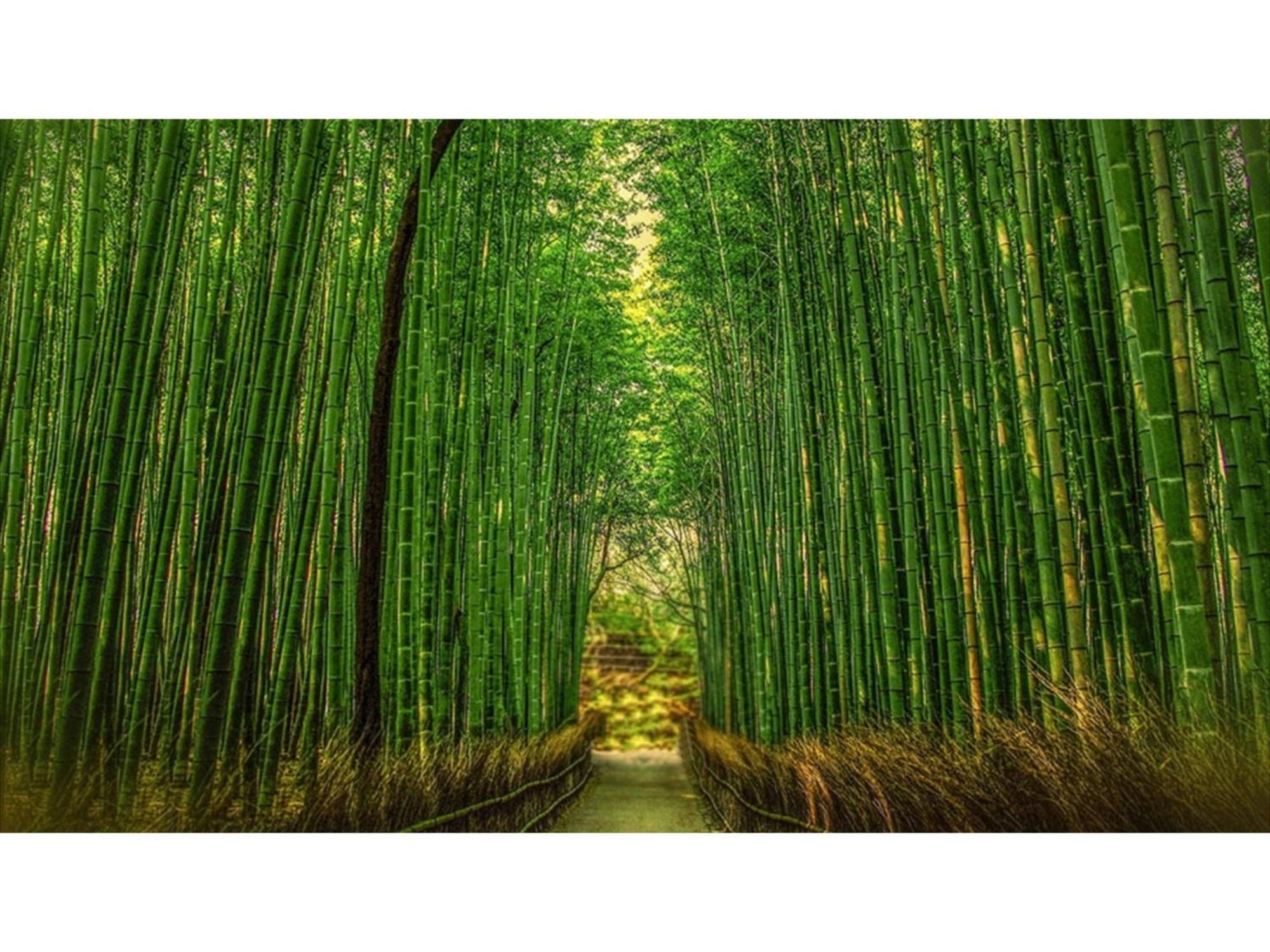 Hotel River Side Arashiyama - Vacation 86031v *
